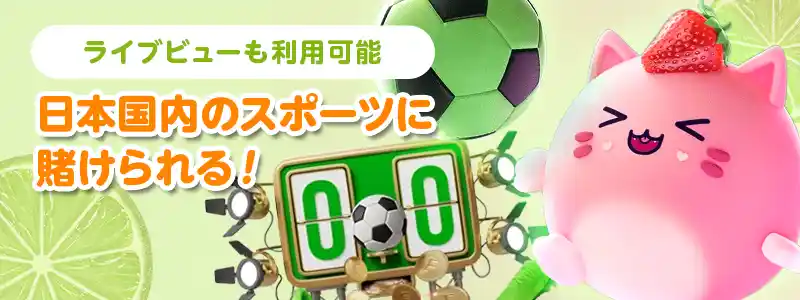 サポートは24時間365日、安心の日本語対応