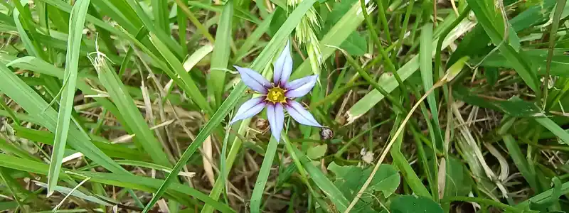 体調不良に関する前兆