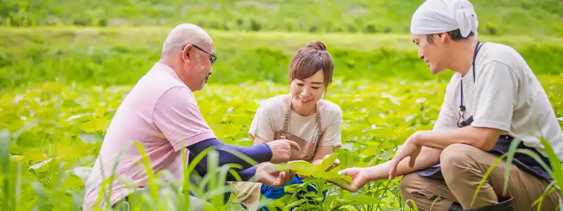 なるべく働きたくない人の生きるための方法